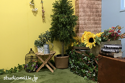 【朝フォト！】サマーキャンペーンで写真館を無料体験しよう！