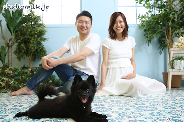 【ペット】東京都杉並区妊娠の記念にワンちゃんと！【マタニティ】